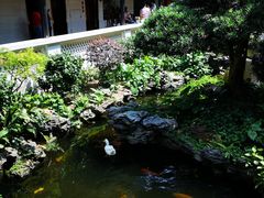 -北园酒家(小北路店)