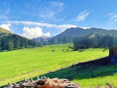 -新疆那拉提国家旅游度假区