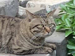 -正阳书局(西四南大街店)
