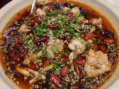 -中国坊中餐厅(石家庄希尔顿酒店)