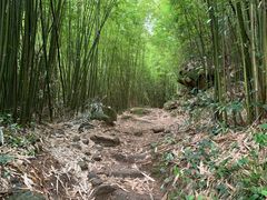 -井空里大峡谷