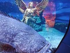 -海合安天津极地海洋公园
