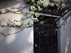 -惠山古镇·寄畅园