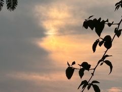 -白鹭洲公园