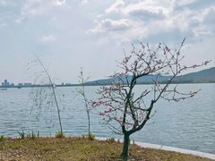 -石湖景区