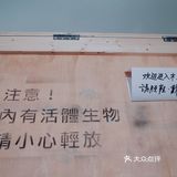 魔都探展｜把自己关在木箱里 Marck‘s Rock Box