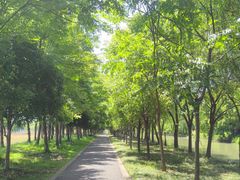 -广富林郊野公园