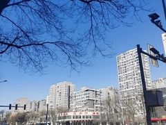 -双井轩(双井店)