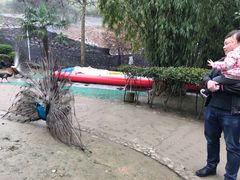 -贵州森林野生动物园