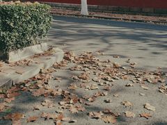 -长颈鹿咖啡(大学路店)