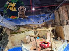 -正佳雨林生态植物园