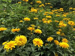 -国家植物园南园