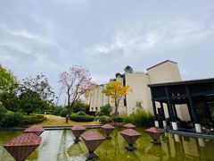 -上海崇明金茂凯悦酒店