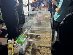 -中环花鸟鱼虫市场