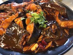 -京北渔家傲