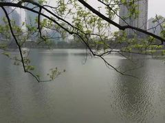 -西北湖绿化广场