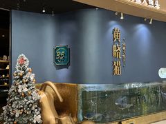 -黄晓猫剁椒大鱼头(海岸城店)