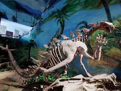 -自贡恐龙博物馆