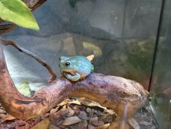 -Zoolung Zoolung动物主题公园(海信广场店)