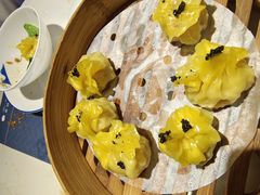 -点都德·毕德寮