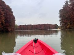 -上海海湾国家森林公园