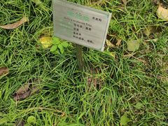 -广州神农草堂中医药博物馆
