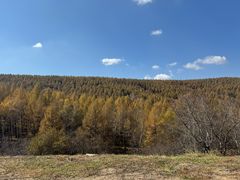 -塞罕坝国家级自然保护区