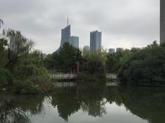 -天鹅湖体育公园