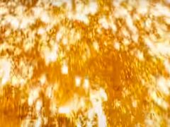 -哈尔滨文化公园