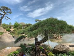 -罗红摄影艺术馆