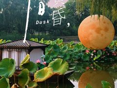 -北陵公园