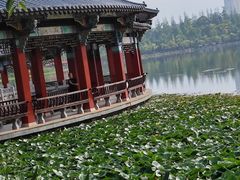 -洛龙公园