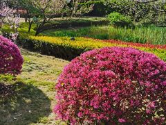 -新虹桥中心花园