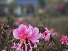 -雅达·阳羡溪山小镇中心