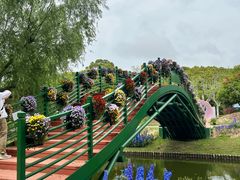 -上海鲜花港