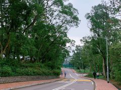 -大埔公路-马料水段香港中文大学(公交站)