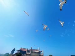 -八仙过海景区