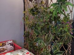 -金陵暴走小龙虾·迷踪蟹(凯德MALL店)