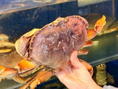 -广记海鲜(杨汊湖一店)