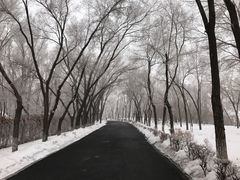 -水磨沟公园