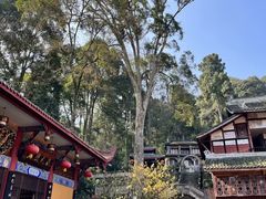 -都江堰普照寺
