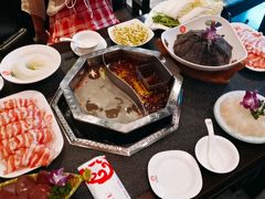 -鼎汇丰重庆老火锅(鞍顺园店)