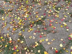 -盘龙城国家考古遗址公园