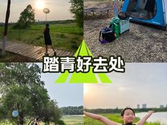 -哈尔滨大剧院