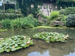 -中国茶叶博物馆(双峰馆区)