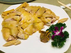 白切阳山鸡-广东胜利宾馆西关粤中餐厅