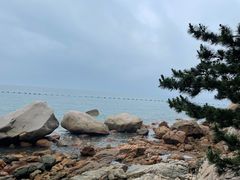 -崂山巨峰游览区