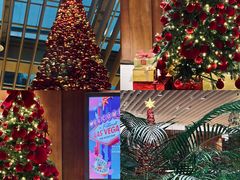 -北京望京凯悦酒店The Lounge大堂酒廊