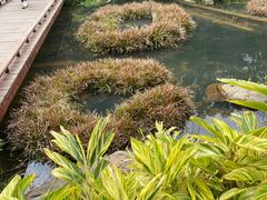 -云溪植物园