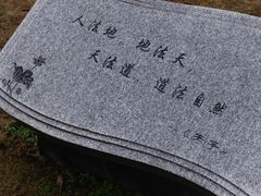 -杭州城北体育公园